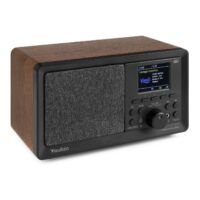 Retourdeal - Audizio Padova retro DAB radio met Bluetooth en USB mp3