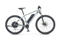 PROPHETE GRAVELER 22.EMM.20 mountainbike (wielmaat: 29 inch