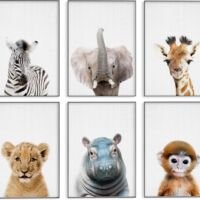 Dieren kinderkamer posters - 6 Posters - 21x30 cm - Stevig papier - Safari