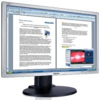 Philips 220BW8ES - 22 inch - 1680x1050 - DVI - VGA - Grijs