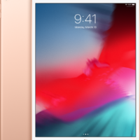 Apple Ipad (2018) - 9.7 Inch - Wifi - 256gb - Goud | Nieuw (outlet)