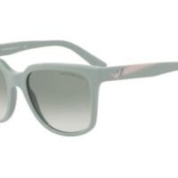 EMPORIO ARMANI Zonnebril 0EA4070F