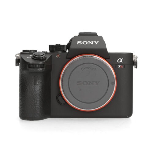 Sony Sony A7R III -6579 kliks