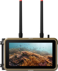 Atomos Ninja