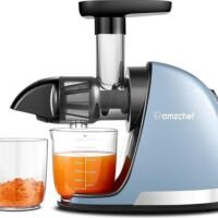 AMZCHEF Slow Juicer - Sapcentrifuge voor Fruit en Groenten - Delicate Chew