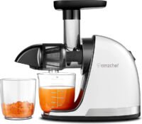 AMZCHEF Fruit- en Groentepers Slowjuicer