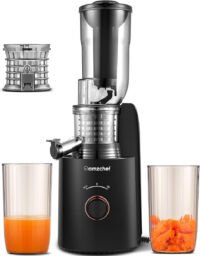 AMZCHEF Slow Juicer - 85 mm - 250 W - Zilver - Koudpers-sapcentrifuge