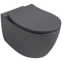 ISVEA Sentimenti ANTRACIET Wc Toilet Hangend Wit Inclusief Softclose Toiletbril