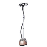 Dsp Multifunctionele Kledingstomer 2.5l 2000w Bruin